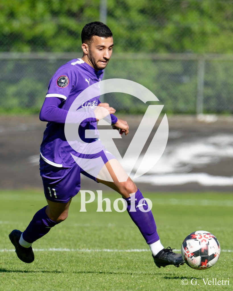 DSC_7247 | Velletri Photo