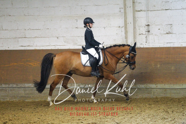 DKP43836 | Turniersportfotografie; Pferdefotografie; Dressurfotografie