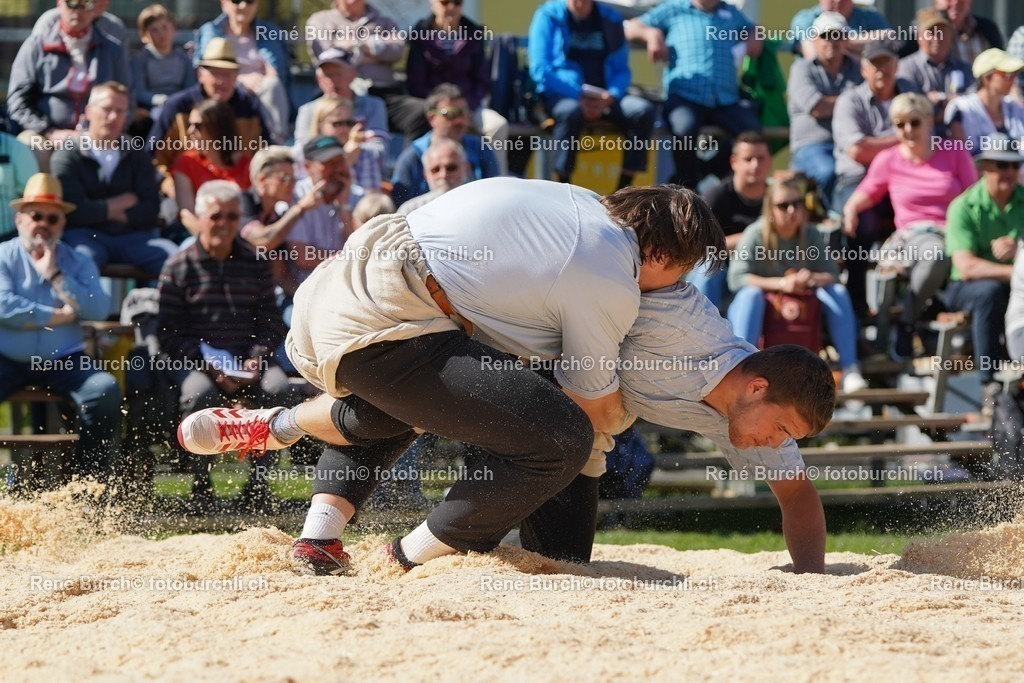 20220418-DSC07736 | René Burch leidenschaftlicher Fotograf aus Kerns in Obwalden.  Hier finden sie Sport, Landschaft und Natur Fotografie.
 - Realisiert mit Pictrs.com