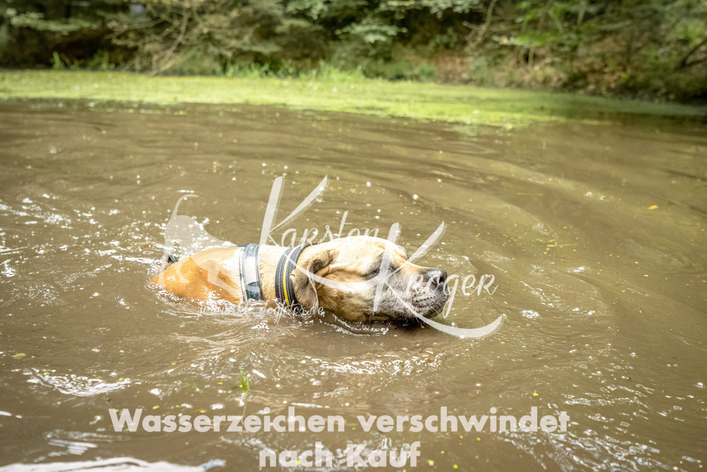 1430_ZZ92659-Bearbeitet | kk-dogfotos