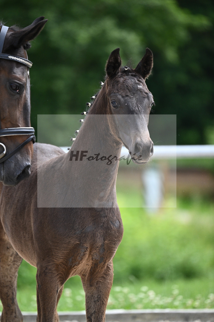 V-Power x Ray Ban_SF_Stadelmann_20240718 | hf-fotografie - Realisiert mit Pictrs.com