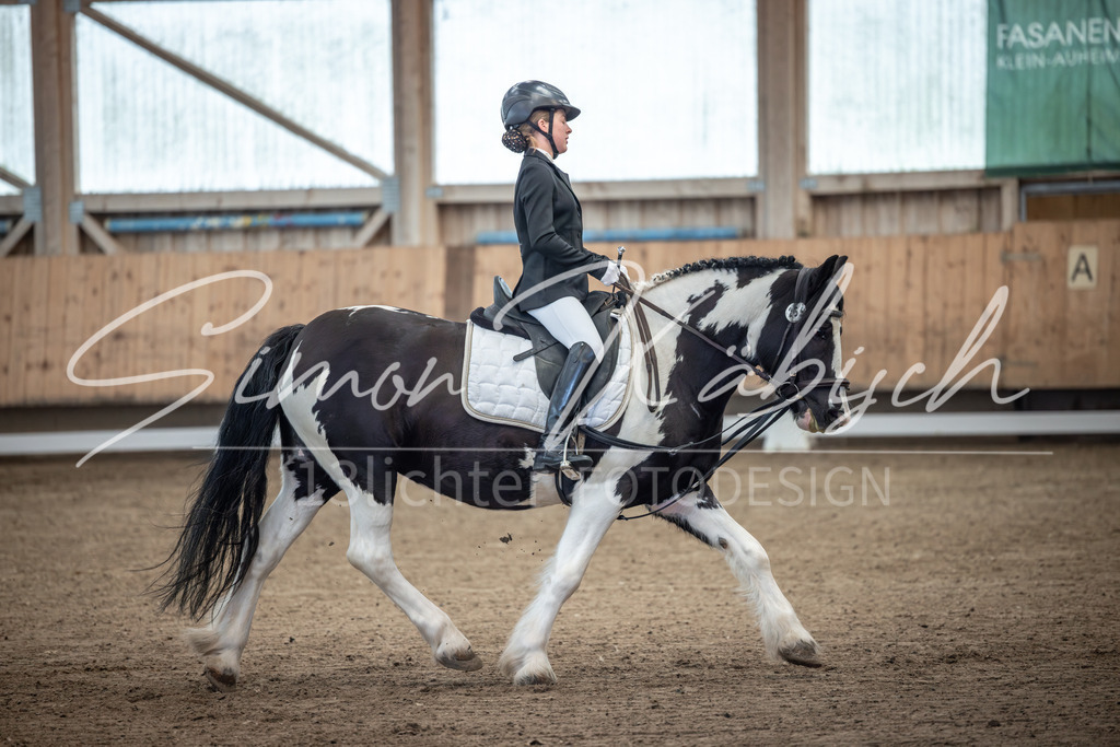 20251011-_3LI7554 | Tierfotografie Pferde, Hunde, Katzen, Haustiere.
Turnierfotografie Reitturniere, Reiten, Springreiten, Dressur in Hanau, dem Main-Kinzig-Kreis und dem Rhein-Main- Gebiet um Frankfurt
