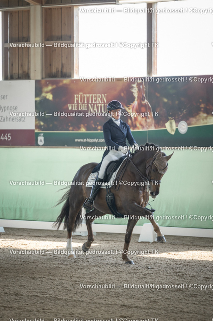 _D5A9207 | Emotionale Pferde- & People-Fotografie rund um Heidelberg, Leimen & Umgebung. Natürliche Fotos von Pferd, Mensch & Familie. Jetzt Termin sichern!