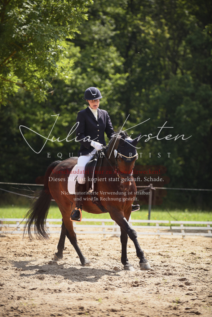 DSC_0953 | Pferde- und Turnierfotografie in Westsachsen. Pferdeportraits, Auftragszeichnungen und intuitive Kunst.