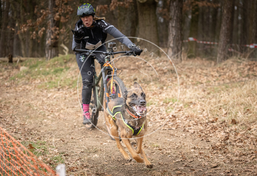 Pfotenfotografie_DV3A1810 | Hundefotografie, Tierfotograf, Pfotenfotografie, Fotoshooting Hund, Hunde Portrait, Hundesport, Hundeportraits, Heideshooting, Hunde, Sportfotograf, Hundefotograf, Turnierhundsport, THS,  - Realisiert mit Pictrs.com