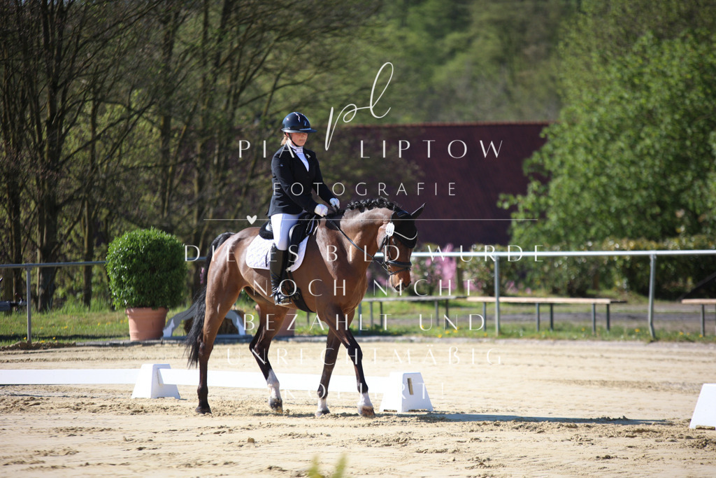 IMGT9298 | pl-fotografie