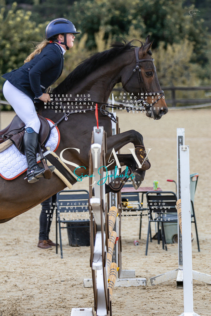 IMG_6043 | s-jay-photography - Realisiert mit Pictrs.com