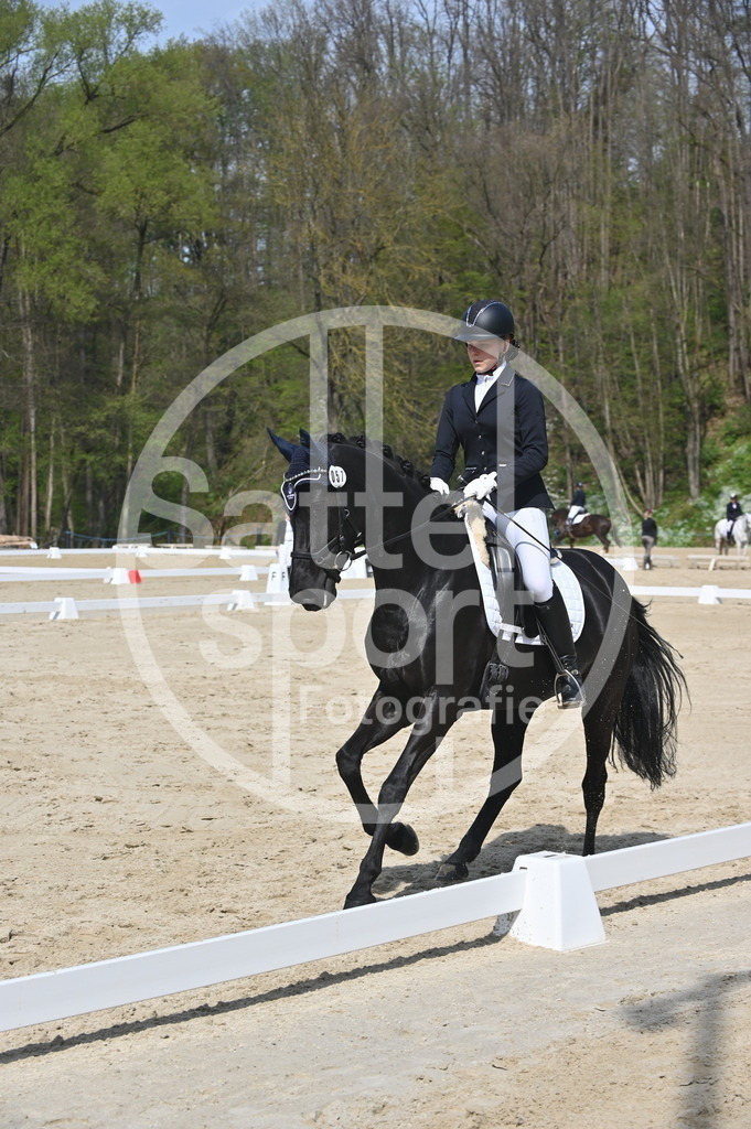 DSC_1079 | sattelsport - Realisiert mit Pictrs.com