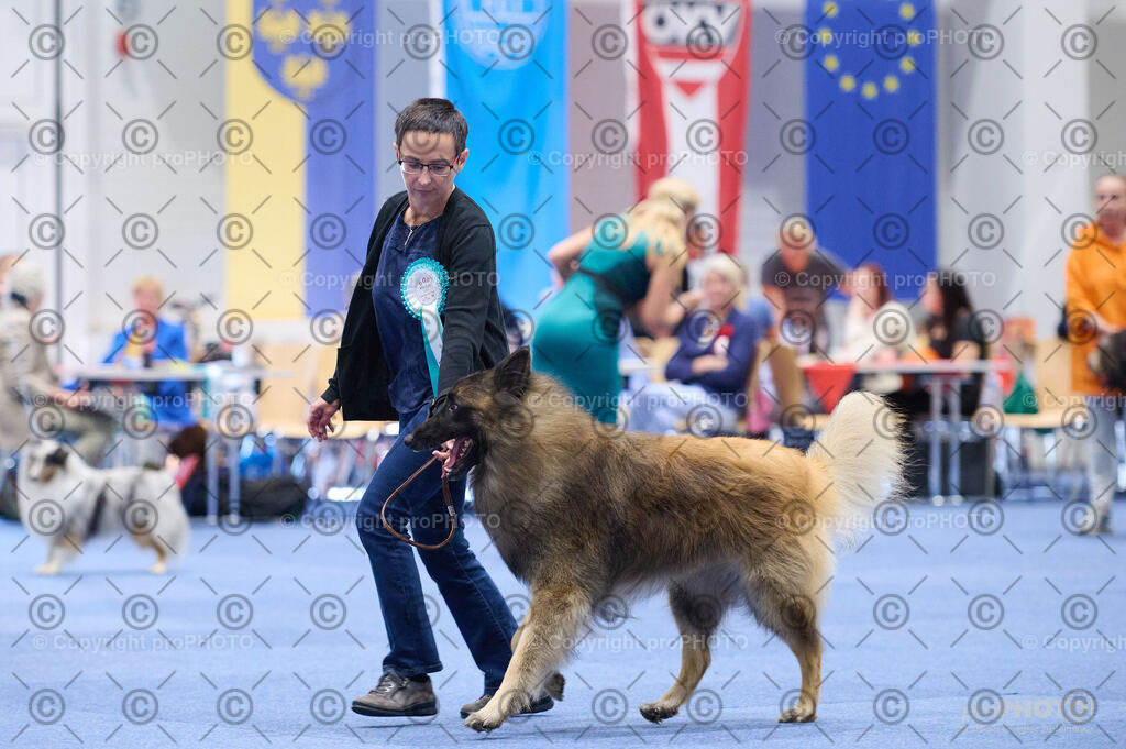 202406_ÖKV-IHA-Tulln24_DSC_2884 | proPHOTO - Realisiert mit Pictrs.com