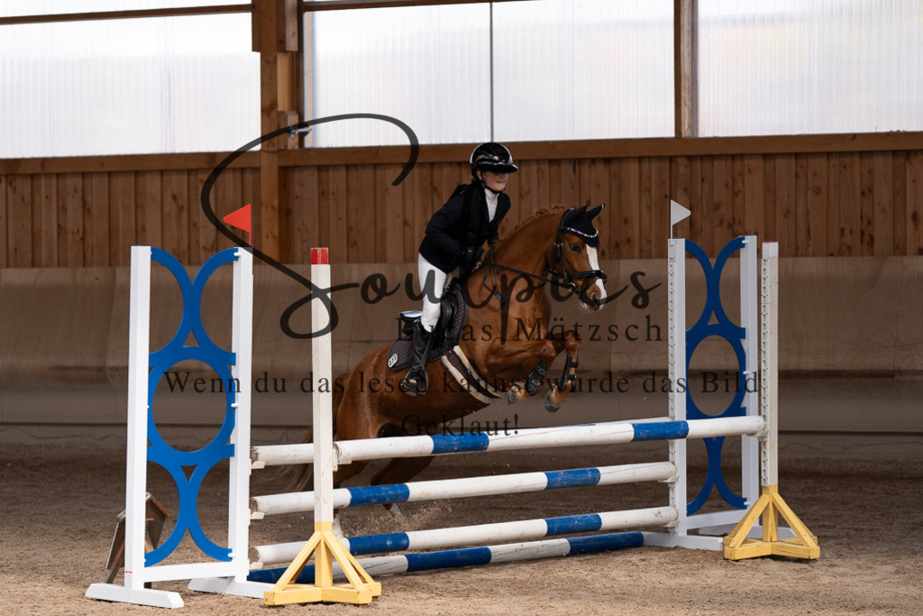 A7507483 | Pferdefotograf