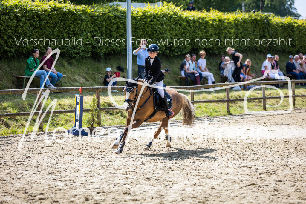 Donop24-SprRW-016 | MomenTaufnahmen Pferdesportfotos