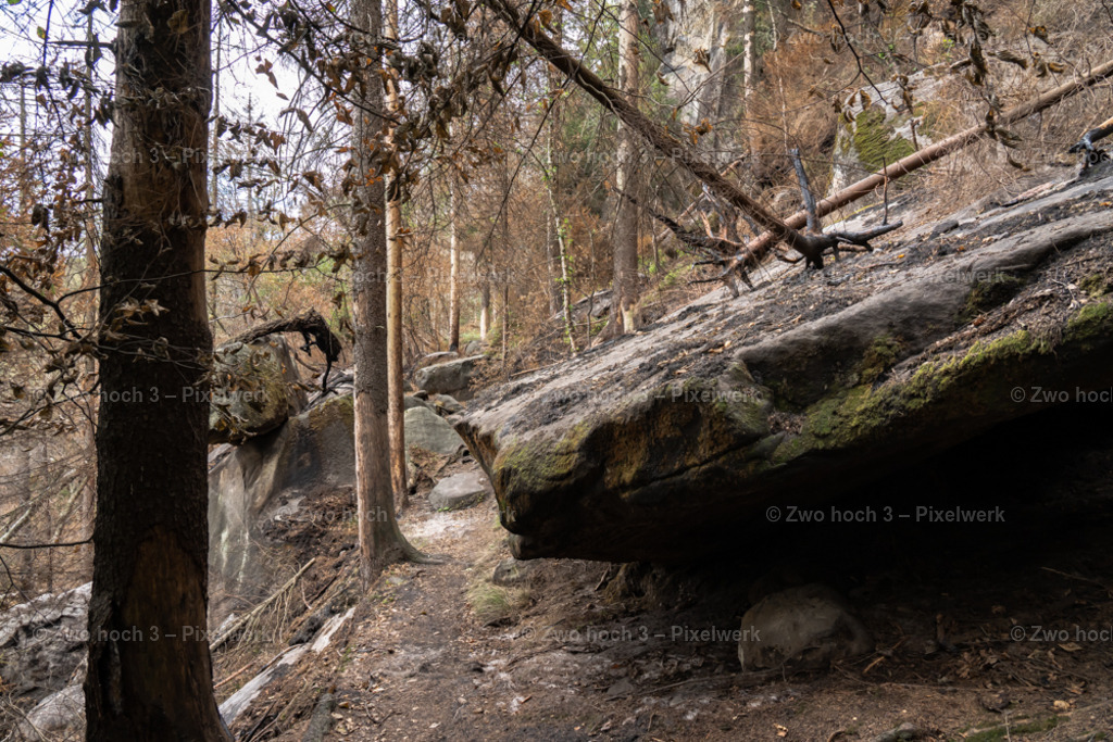 Obere_Affensteinpromenade_Nahe_Rollenturm_Felsblock_Waldweg | 2022-09-02_Waldbrandgebiete_2 - Realisiert mit Pictrs.com