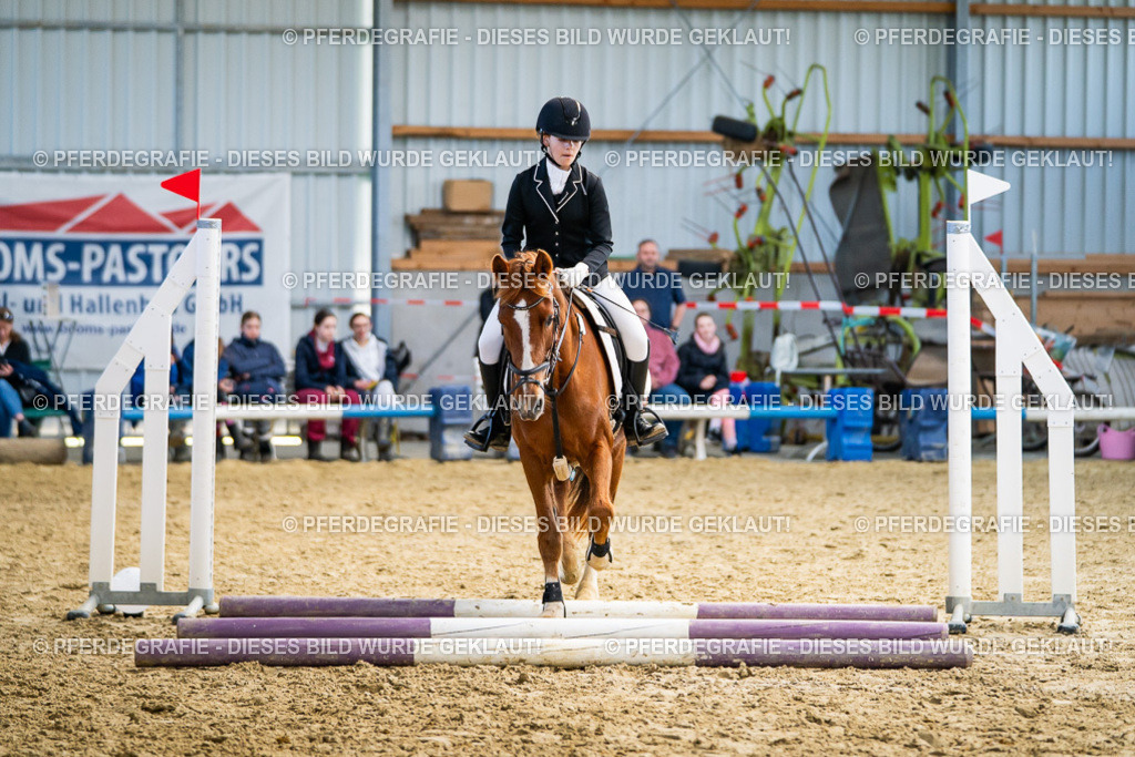 DSC02172 | Pferdegrafie