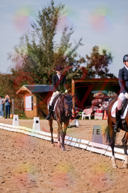 2026_10_03_Siefer-Hof_125533_Z81_44776618 | Professionelle Reitsport-, Turnier- und Eventfotografie von Robert Broda. Galerien mit ausgewählten und bearbeiteten Bildern direkt online ansehen und bestellen.