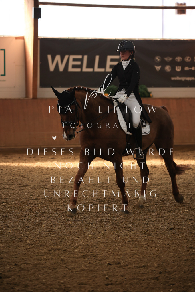 IMGT4753 | pl-fotografie