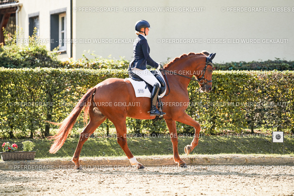 DSC07397 | Pferdegrafie