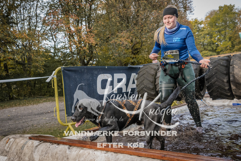 1444_ZZ94997 | kk-dogfotos