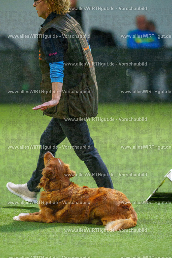 7R509657 | Professionelle Tierfotografie in Mönchengladbach von Daniel Wirth (allesWIRTHgut). Liebevolle & natürliche Bilder von Hunden & Katzen für unvergessliche Erinnerungen.