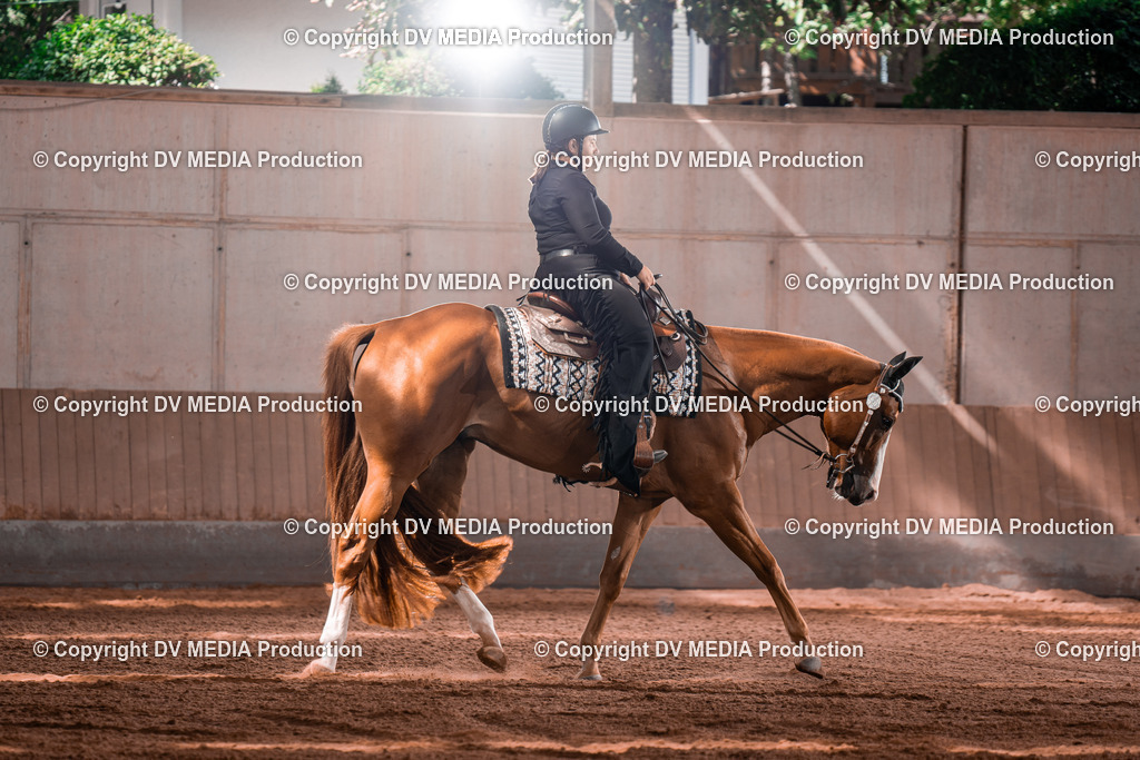 NE100334 | dv-media-shop - Realisiert mit Pictrs.com