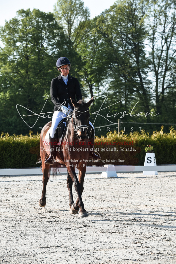 20230518_JK-Röhrsdorf-09-0094 | Pferde- und Turnierfotografie in Westsachsen. Pferdeportraits, Auftragszeichnungen und intuitive Kunst.