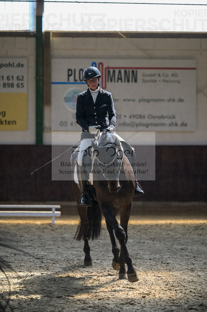 Reitturnier Voxtrup | Entdecke hochwertige Reitturnierfotos von Foto Oger. Professionell, emotional und authentisch – jetzt Lieblingsmomente im Shop bestellen.Deutschlandweite Turnierfotografie. - Realisiert mit Pictrs.com
