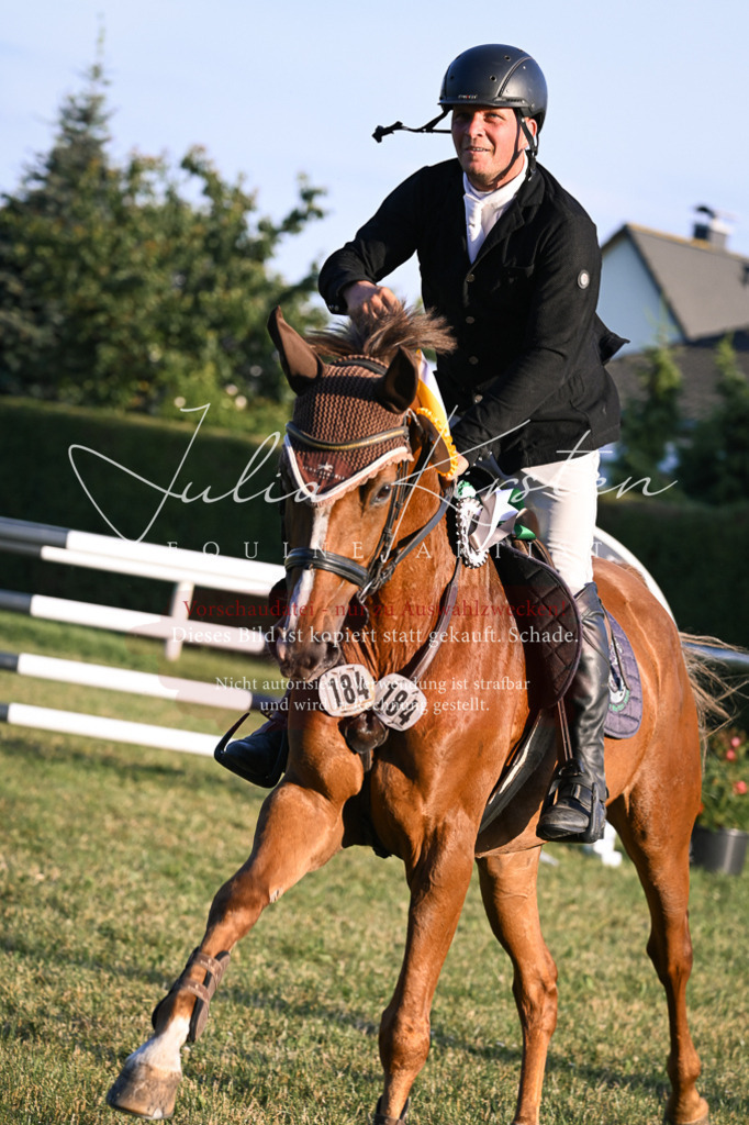 DSC_1984 | Pferde- und Turnierfotografie in Westsachsen. Pferdeportraits, Auftragszeichnungen und intuitive Kunst.