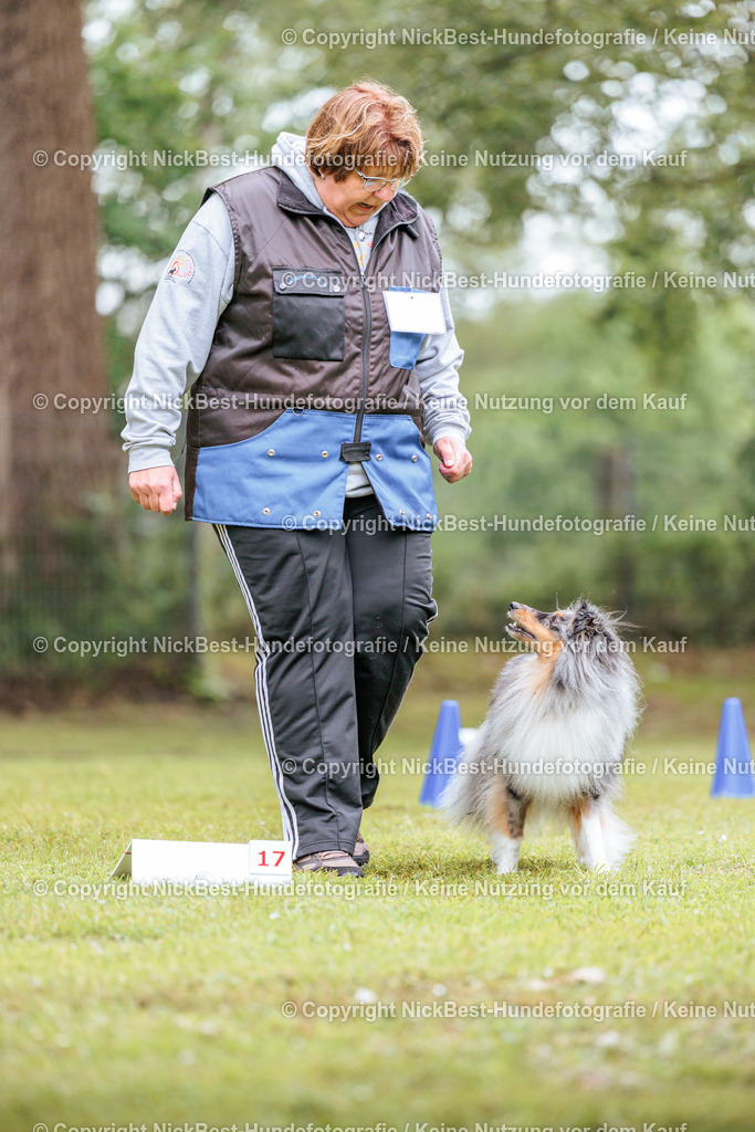 RO-Blumenthal-2026-Nickbest-Hundefotografie-4831 | Dein Hund! Dein Moment! Deine Erinnerungen! Hundefotografie in Bremen Blumenthal. Ich fange die besonderen Momente deines Vierbeiners ein – ob Indoor mit Blitzanlage oder in der freien Natur. Sicher dir dein Moment und dein Termin für eure Erinnerungen.