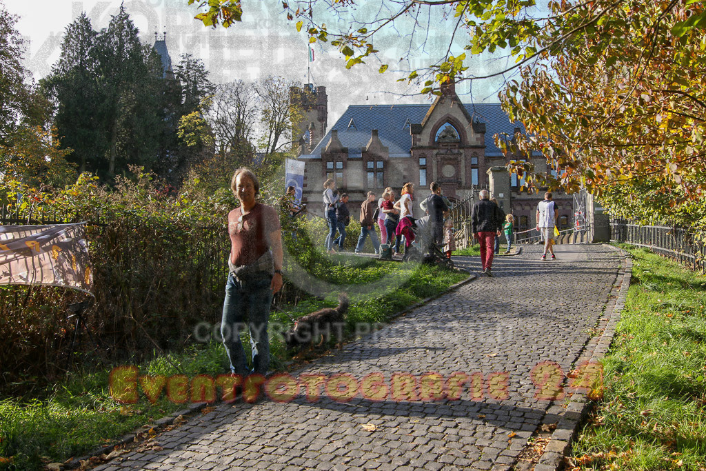 221030_1150_EV8_5288 | Sportfotografie im Rhein-Sieg Kreis, Köln, Bonn, NRW, Rheinland Pfalz, Hessen, etc. Unser Tätigkeitsfeld umfasst den Laufsport vom Volkslauf über den Marathon, Duathlon, Triathon bis zum Ultralauf wie Kölnpfad Ultra oder Schindertrail.
