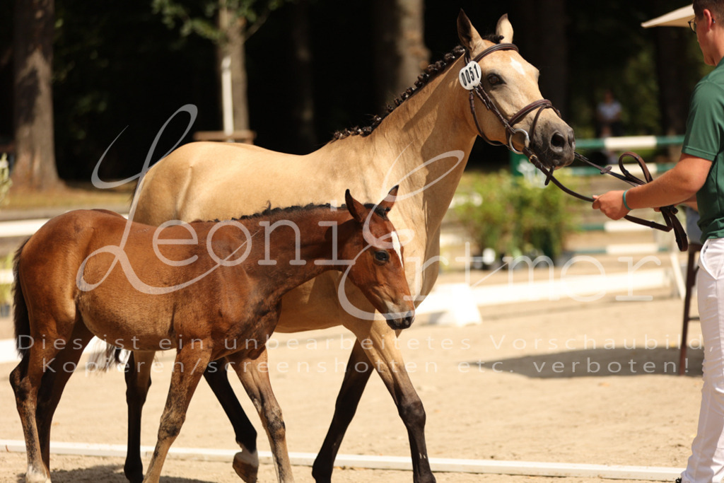 08.DoRPS00003 | Leoni Ertmer Photography - Realisiert mit Pictrs.com