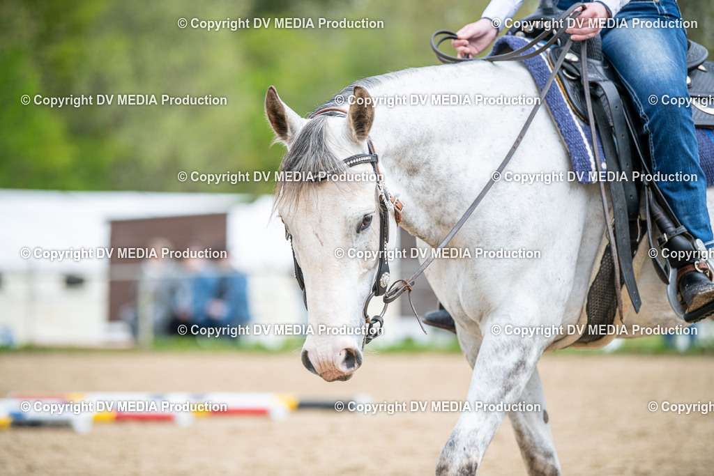 Heiligenwald Tag 1-1273 | dv-media-shop - Realisiert mit Pictrs.com