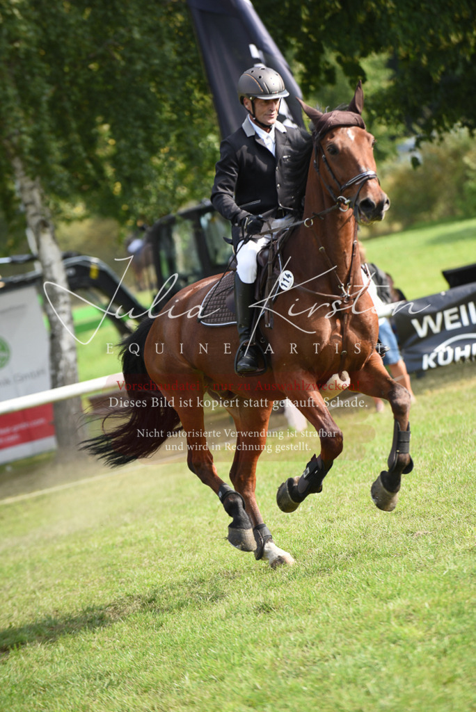 DSC_8819 | Pferde- und Turnierfotografie in Westsachsen. Pferdeportraits, Auftragszeichnungen und intuitive Kunst.