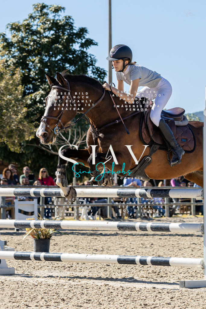 IMG_1020 | s-jay-photography - Realisiert mit Pictrs.com