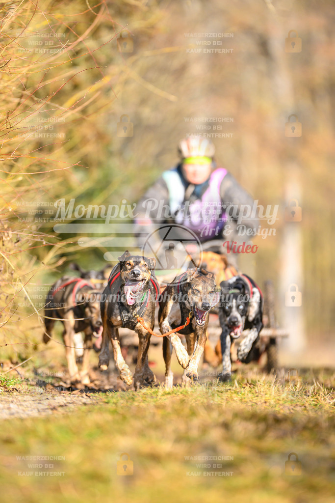 MompixPhotography_Schwabentrail2025_SO_Kart-5 | PayLife