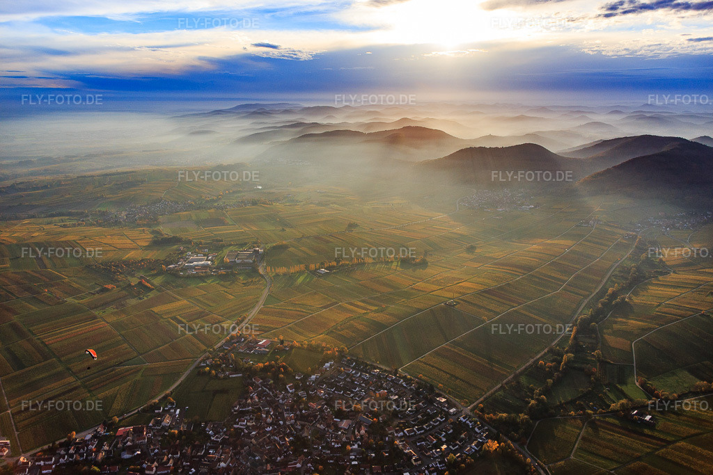 Luftbild: Herbstlich verfärbte Weinberge im abendlichen Dunst des Pfälzerwalds in Ilbesheim bei Landau im Bundesland Rheinland-Pfalz in Deutschland. Foto: IMG_076415.jpg vom 09.11.2014 durch Werner Riehm/FLY-FOTO.de