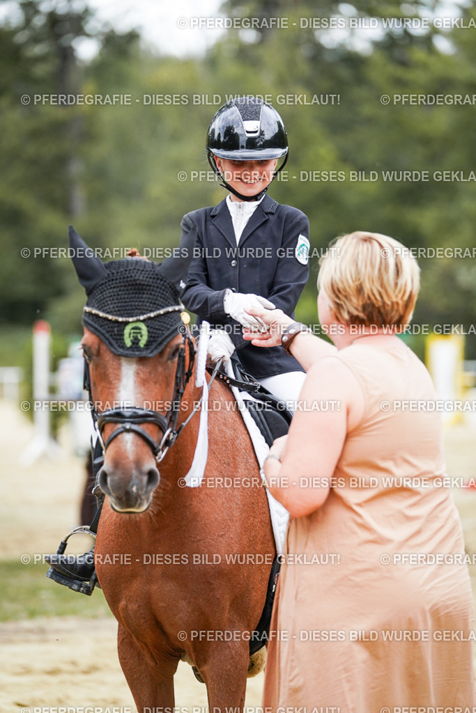 DSC06092 | Pferdegrafie