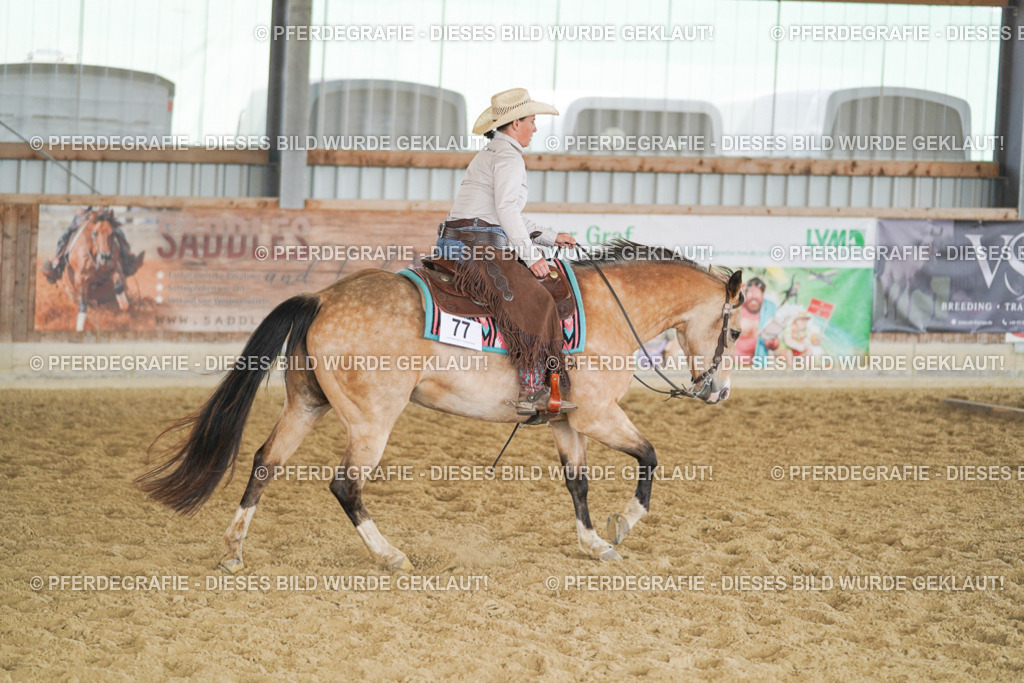 DSC01843 | Pferdegrafie