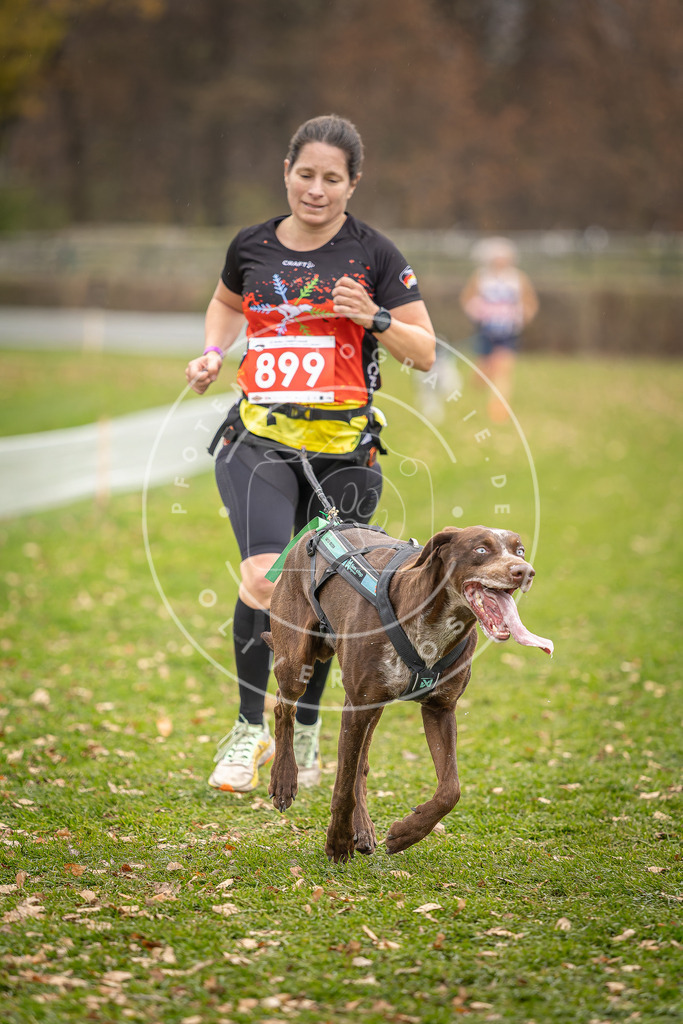 CaniXpix_DV3A6925 | Hundefotografie, Tierfotograf, Pfotenfotografie, Fotoshooting Hund, Hunde Portrait, Hundesport, Hundeportraits, Heideshooting, Hunde, Sportfotograf, Hundefotograf, Turnierhundsport, THS,  - Realisiert mit Pictrs.com
