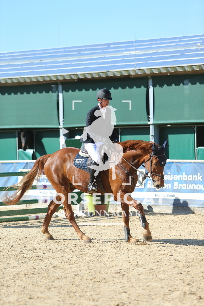 DL2Q1153 | Willkommen bei Brunnmayr - Design & Fotografie – Ihrem Spezialisten für Reitturniere und Pferdeveranstaltungen in Oberösterreich, Salzburg und Bayern! Seit über 17 Jahren sind wir leidenschaftlich dabei.