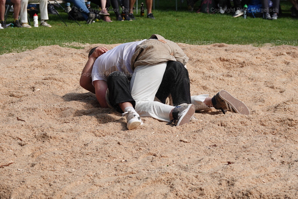 DSC01459 | Schwingen - Realisiert mit Pictrs.com