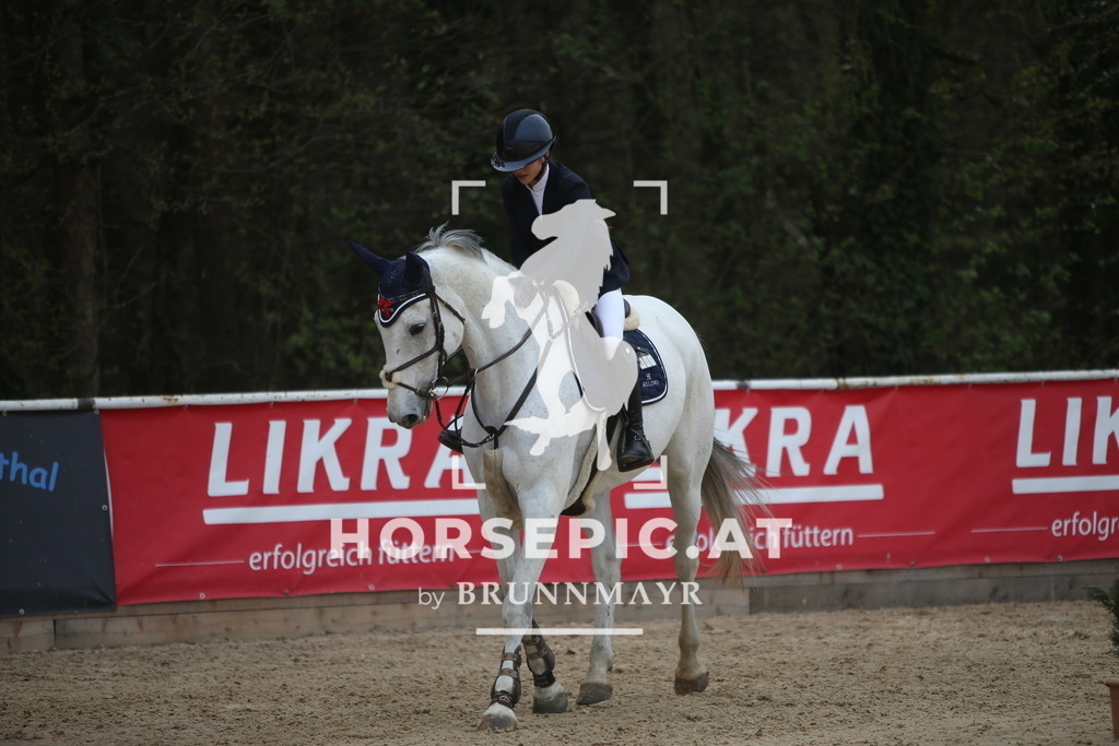 PP018023 | Willkommen bei Brunnmayr - Design & Fotografie – Ihrem Spezialisten für Reitturniere und Pferdeveranstaltungen in Oberösterreich, Salzburg und Bayern! Seit über 17 Jahren sind wir leidenschaftlich dabei.