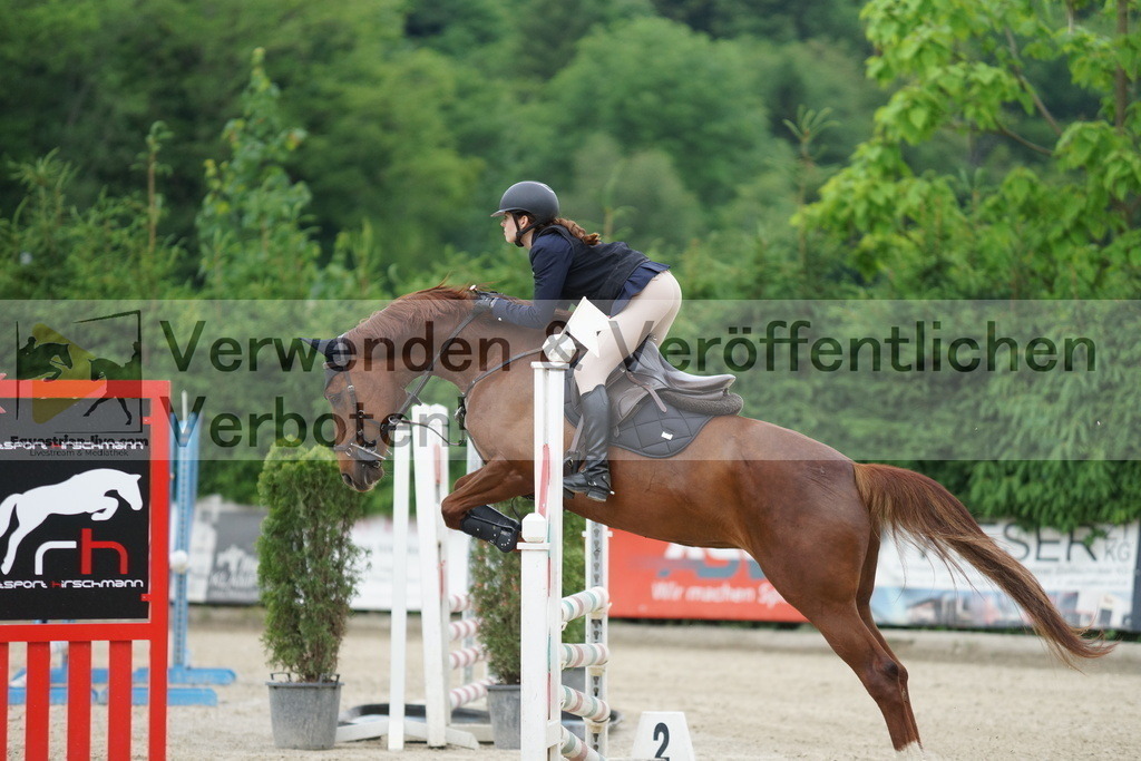 DSC07630 | equestrian-live-com