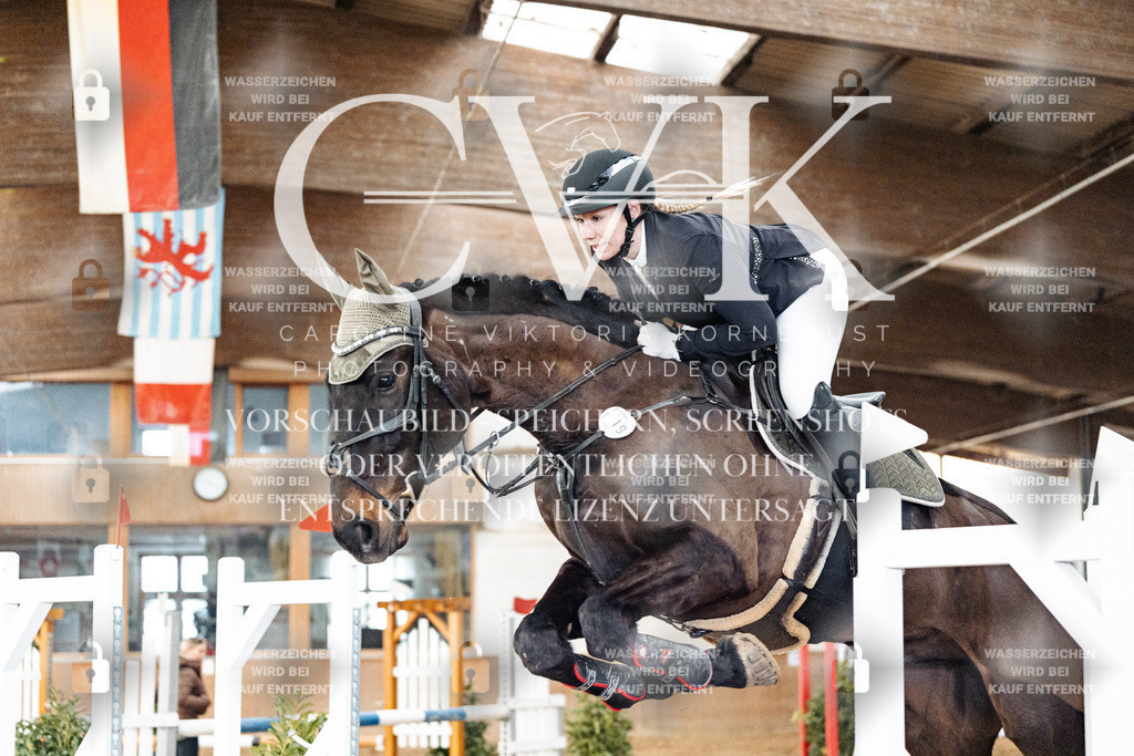 CK906216 | Turnierfotografie Pferdefotografie Trier Rheinland-Pfalz Pferdesport Reitsport Tierfotografie Sportfotografie Pferdevideo Pferdevideografie Equestrianvideography equestrianphotography  - Realized with Pictrs.com