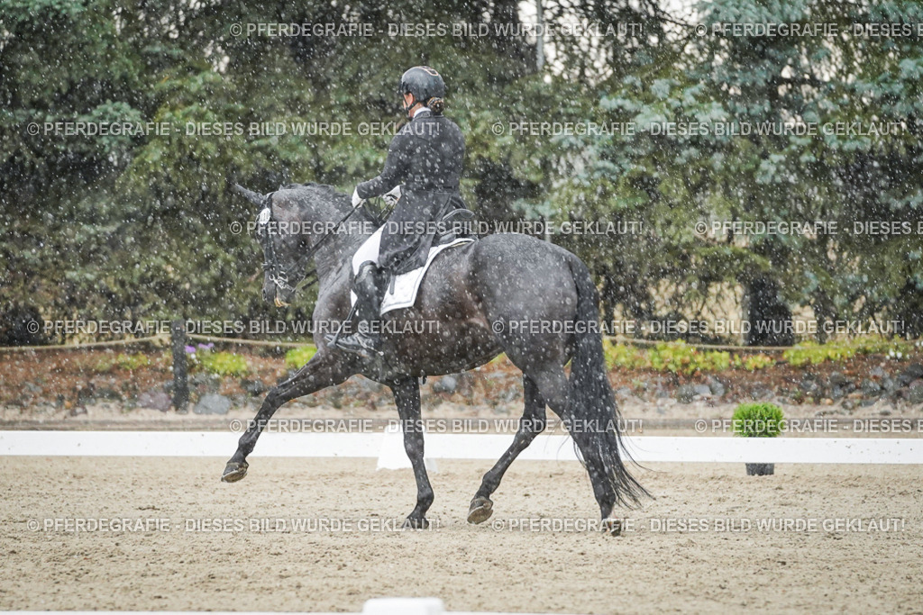 DSC08329 | Pferdegrafie