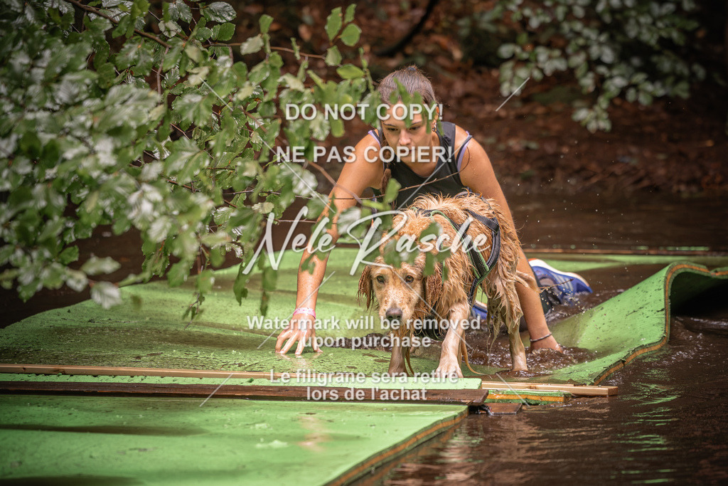 nelerasche_Wingst_Sa1330-1400_332 | nelerasche