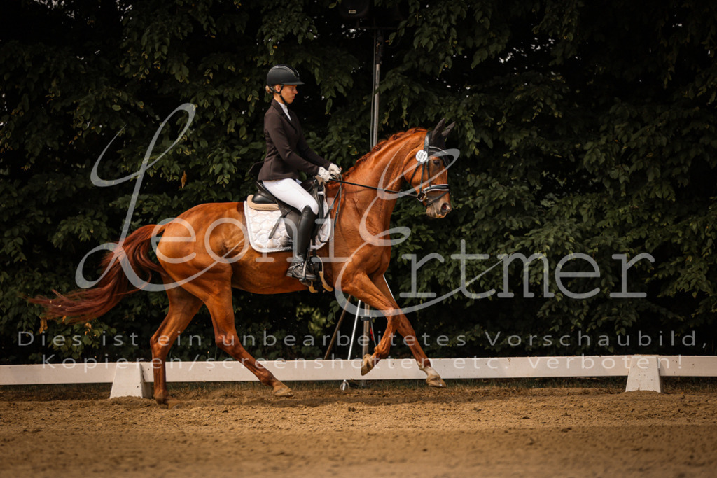 15.SaDrL00118 | Leoni Ertmer Photography - Realisiert mit Pictrs.com