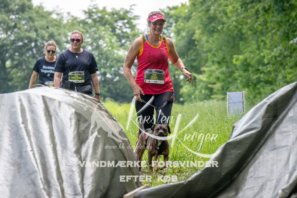 1127_ZZ92928 | kk-dogfotos