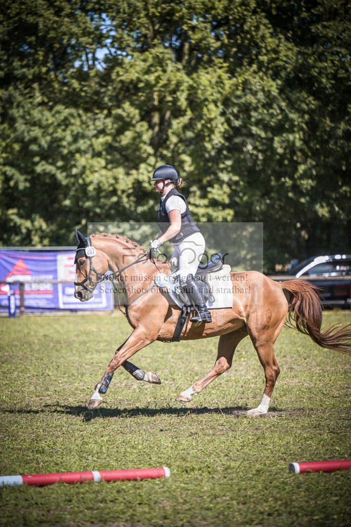 DOS_0093 | Entdecke hochwertige Reitturnierfotos von Foto Oger. Professionell, emotional und authentisch – jetzt Lieblingsmomente im Shop bestellen.Deutschlandweite Turnierfotografie. - Realisiert mit Pictrs.com