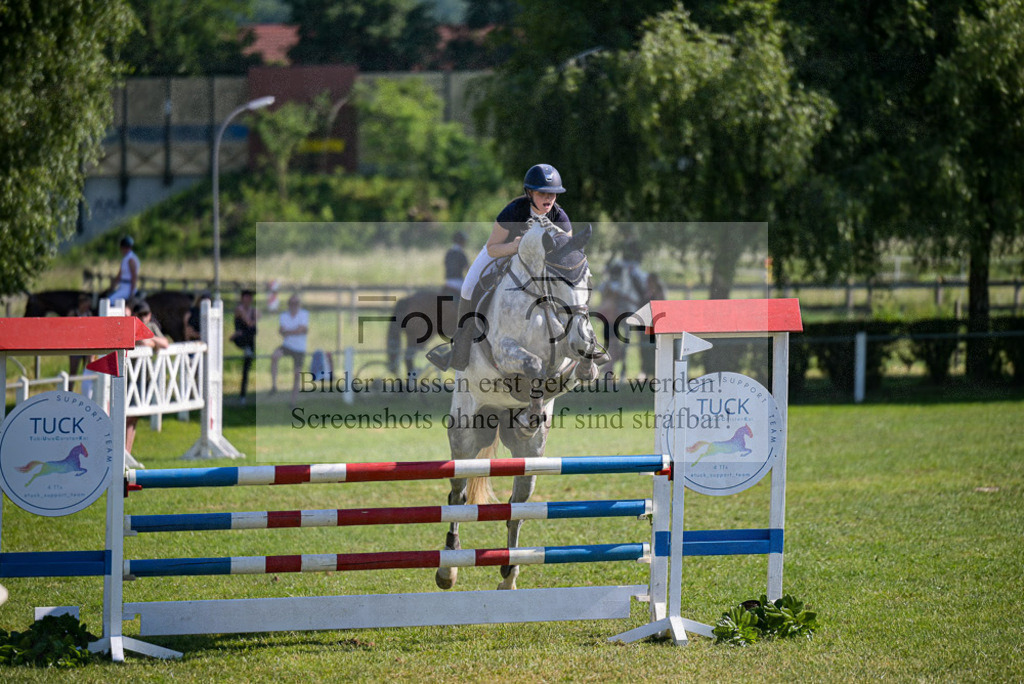 Reitturnier Voxtrup | Entdecke hochwertige Reitturnierfotos von Foto Oger. Professionell, emotional und authentisch – jetzt Lieblingsmomente im Shop bestellen.Deutschlandweite Turnierfotografie. - Realisiert mit Pictrs.com
