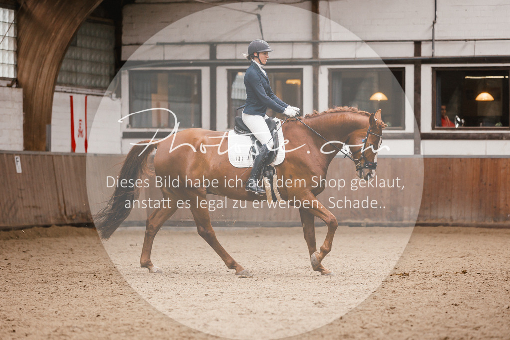 3I6A7522 | Stimmungsvolle Portraits und Reitsportfotografie im Ruhrgebiet und im Münsterland.

Pferdefotografie, Hundefotografie, Tierfotografie, Reportagen, Portraits von Tier und Mensch, Turnierfotografie in Bochum, Recklinghausen, Marl, Haltern am See, Dülmen.. - Realisiert mit Pictrs.com