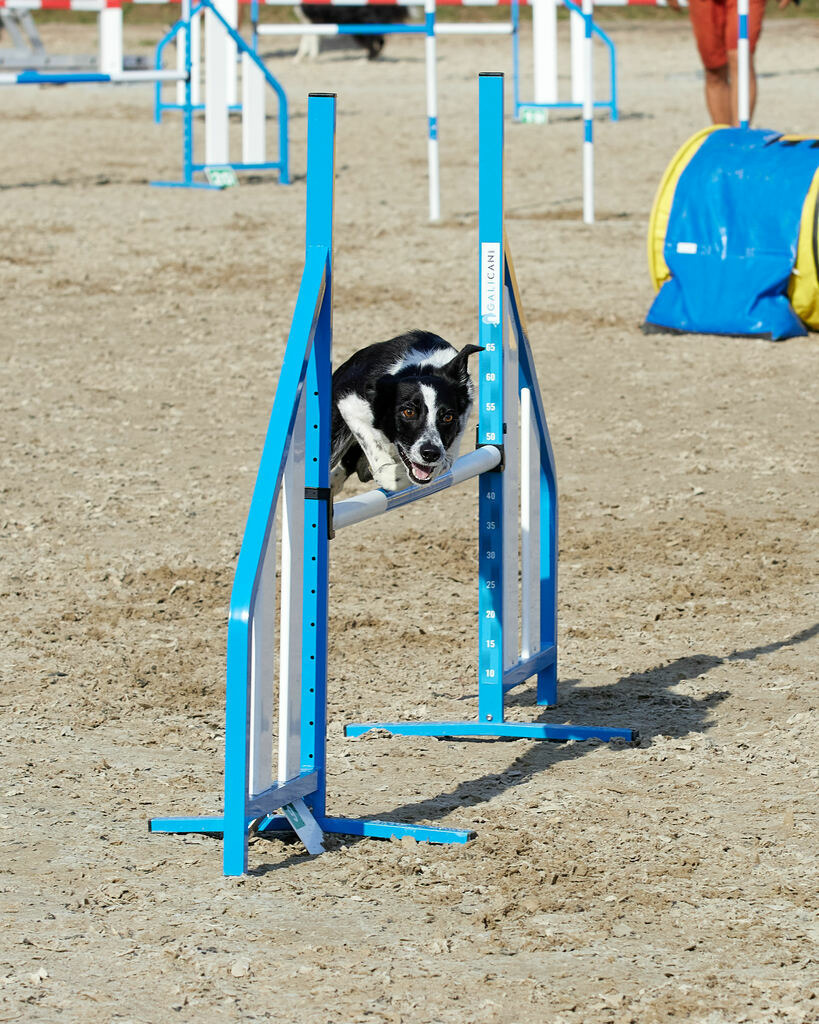 580B0050 | Peter Fridle Fotografie - Realisiert mit Pictrs.com